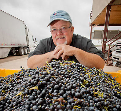 Jet Wilmeth with his grapes