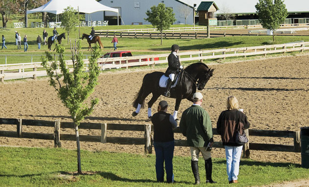 Texas Rose Horse Park