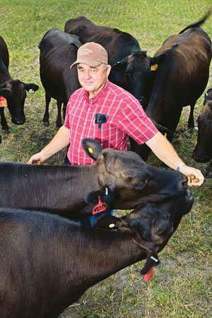 Ralph Lee with his Wagyu cattle