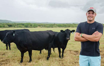 Lance with cattle