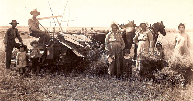 The Mathiesen family harvests wheat in Runnels County, Texas — 1914