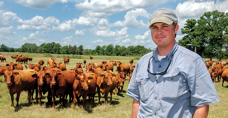 Cullen Kovac and many cows