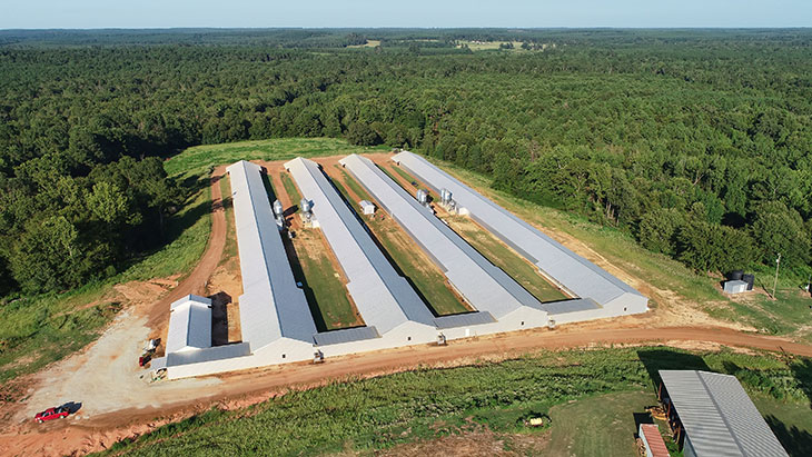 Aerial view of four poultry barns
