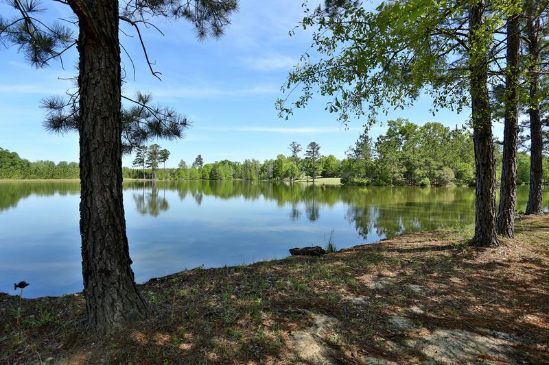 Lake in Alabama