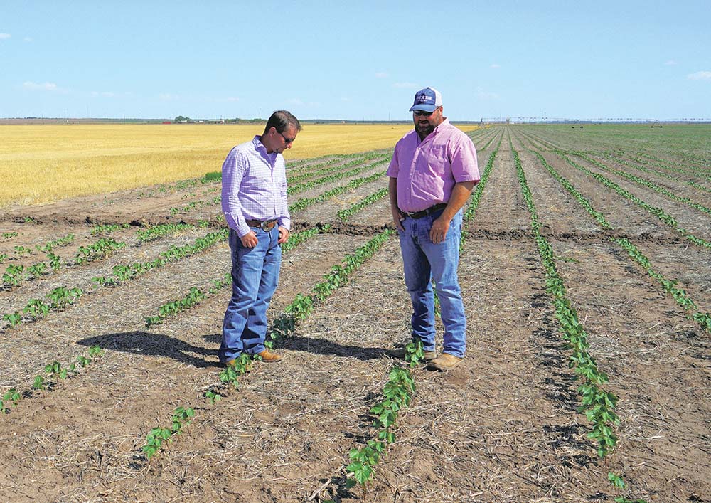 Cody Hughes and Jason Jones standing in a field