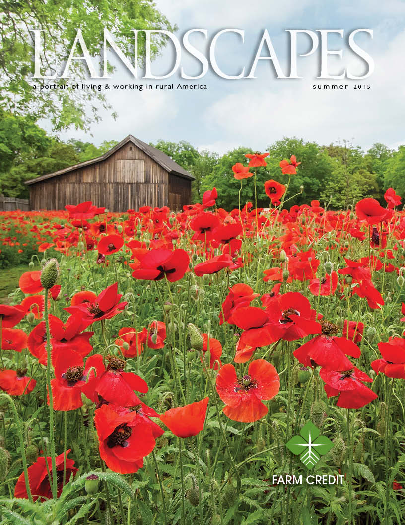 Landscapes Magazine Cover