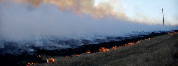 Burning Field