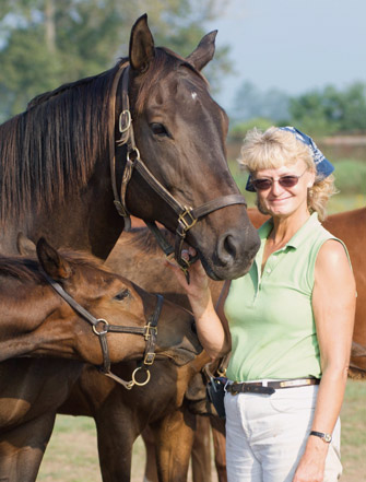 Gillian Taylor with relaxed racehorses