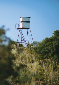 Deer blind