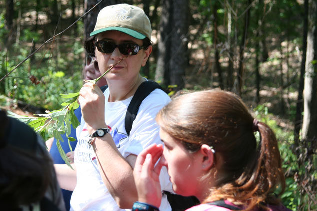 Students smelling sassafras root