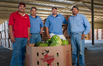 Boxes of Pecos Fresh watermelons