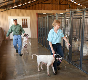 The Morgan's kennel.
