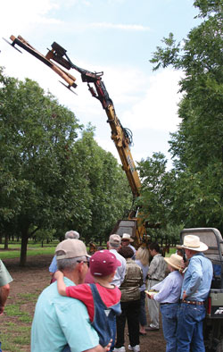 Hedging demonstration