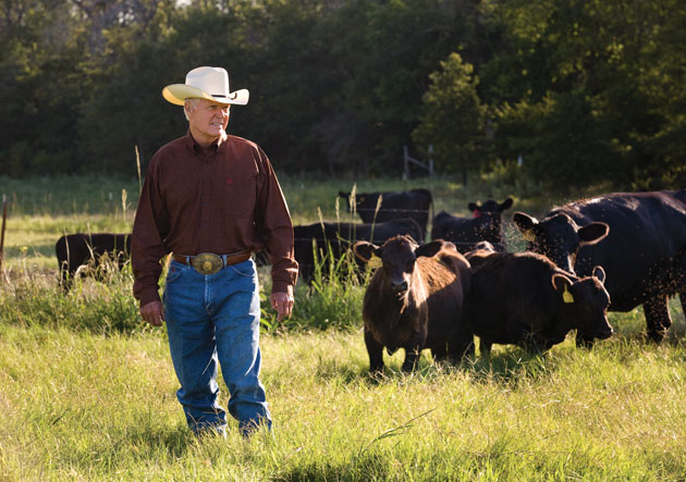 ag credit board member