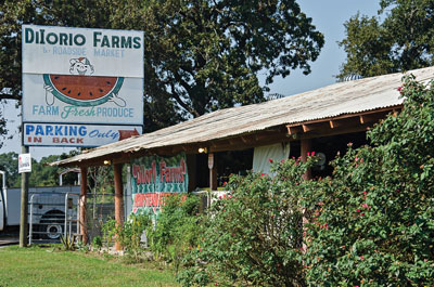 Dilorio Farms