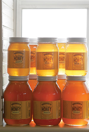 Jars of honey in window