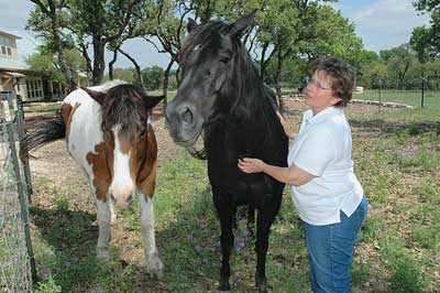 Karen and her Horses