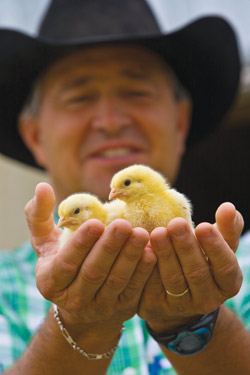 Ricky Lester holds some chicks.