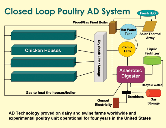 Poultry chart