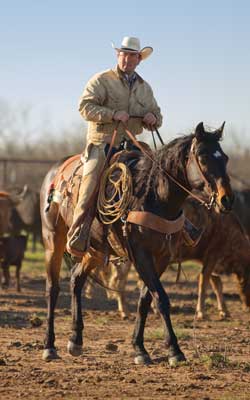 Herding Cattle