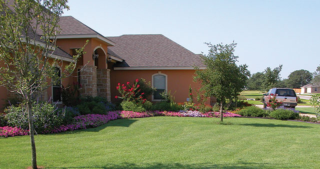 House with a lawn and pretty flowers