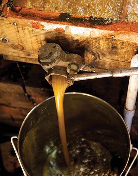 Boiling sorghum pours out spout into bucket