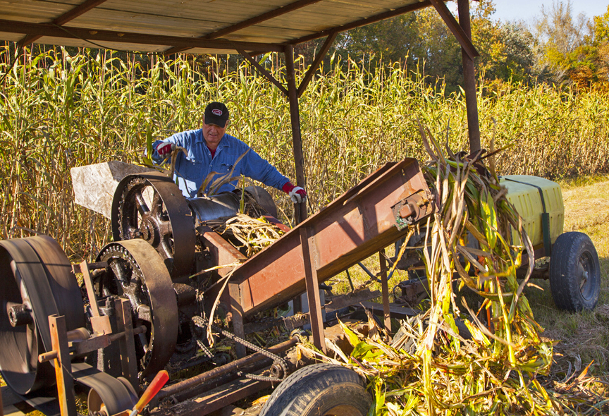 Cane mill to crush the sorghum