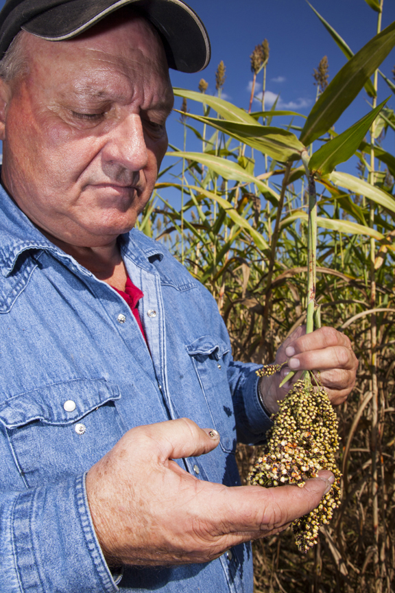 Terry Norwood scrutinizes a plant.