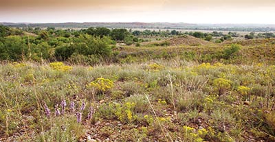 Ranchland with small hills