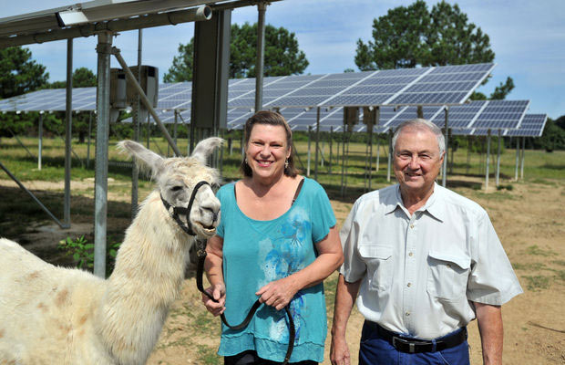 Cozette and Tony O'Neil with a llama in front of a solar array