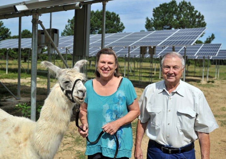 Cozette and Tony O'Neil with a llama in front of a solar array