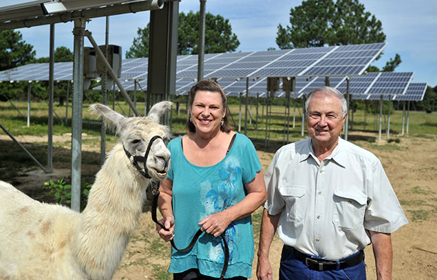 Cozette and Tony O'Neil with a llama in front of a solar array