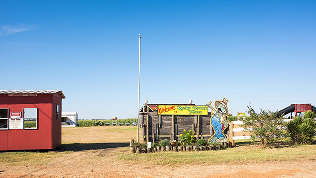 Welcome to Rocky Creek Maze sign