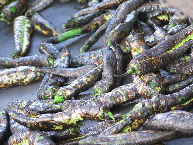 Roasted long green chile
