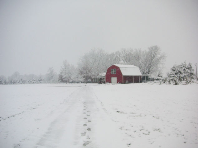 Barn in the snow