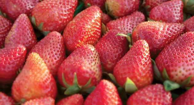 Closeup of strawberries