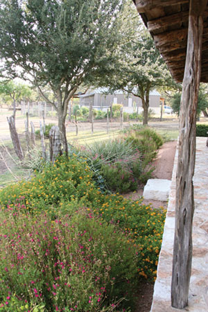 Porch of a ranch house with wildflowers