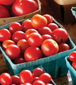 bushels of tomatoes