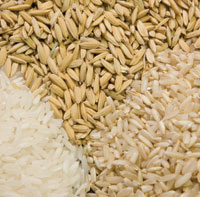 rice varieties