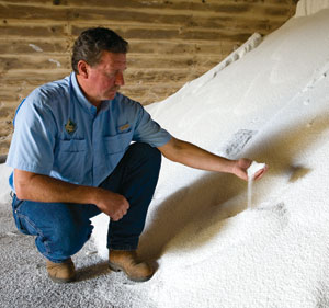 Wayne Hensgens checks a sample of the rice crop.