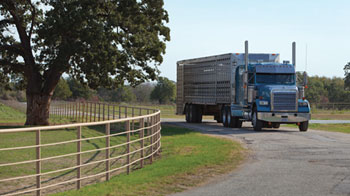 Big rig on ranch road