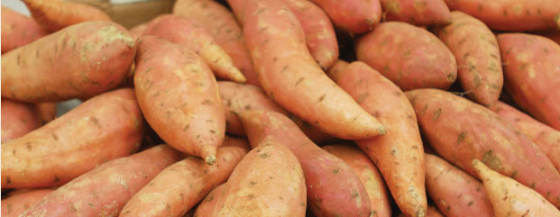 Pile of sweet potatoes
