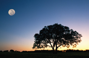 scenic view of the Texas hill country at night