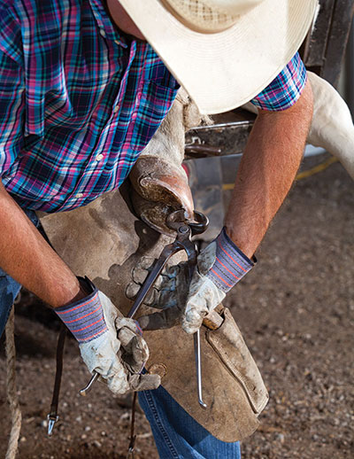 Eric DeBorde trimming a hoof