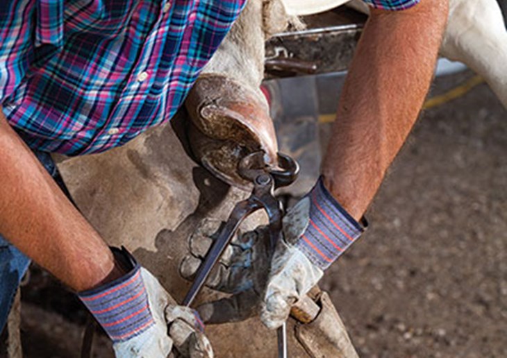 Eric DeBorde trimming a hoof