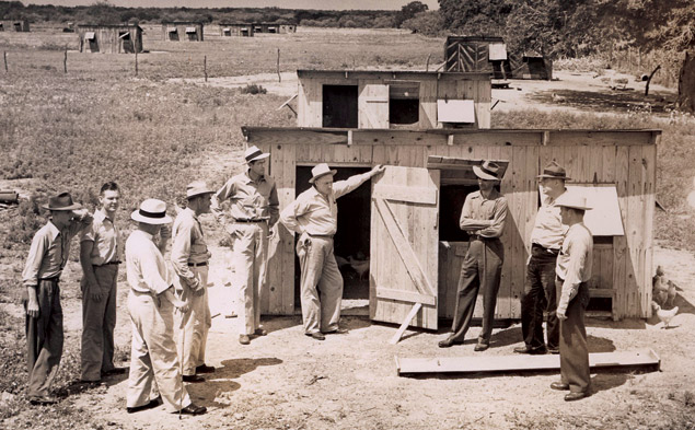 Poultry husbandry class near Cuero, Texas - 1940s