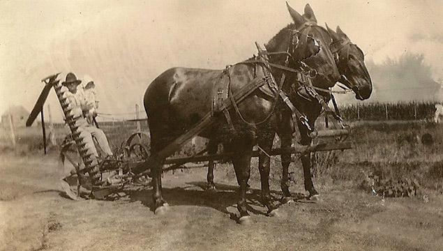 Redin Burt and baby on mule-drawn mower near Hillsboro, Texas - 1920s