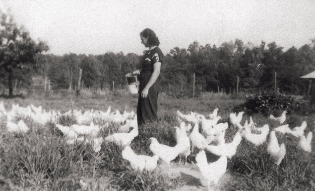 feeding chickens in Cherokee County, Texas