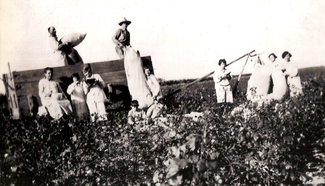 weighing cotton near Olfen, Texas - 1925