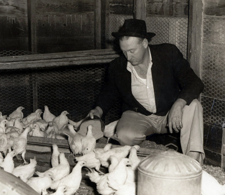 A man in a hat feeds chickens on a farm near Cuero, Texas — early 1940s